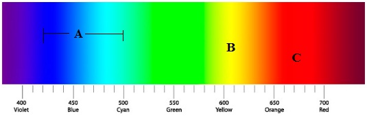 visible spectrum of light used by reef corals to grow.jpg