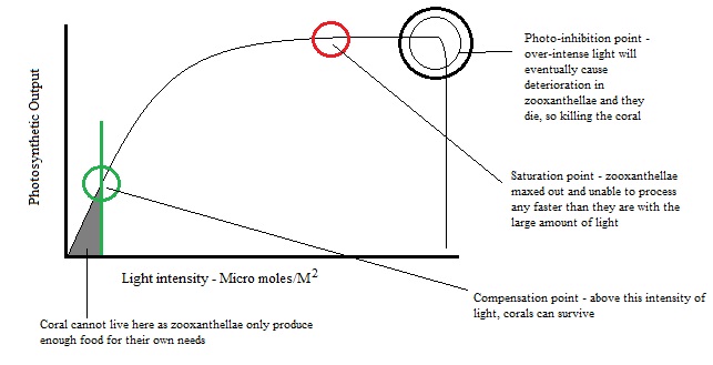 ideal light levels for reef coral in aquariums.jpg