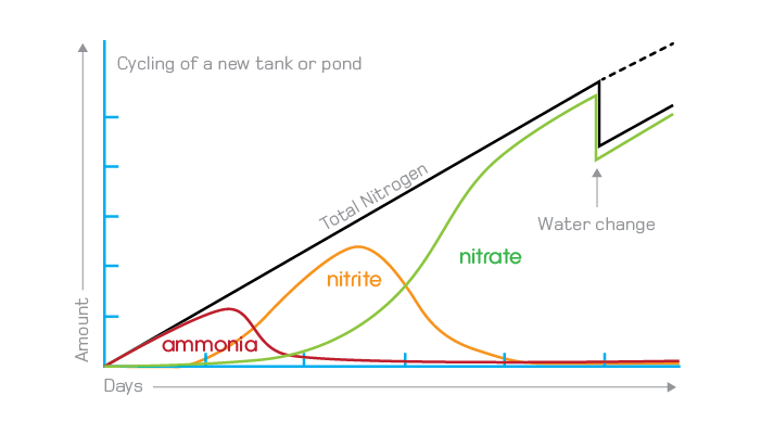 Loodgieter Samengroeiing Uitscheiden New tank syndrome & NH3 - Seneye