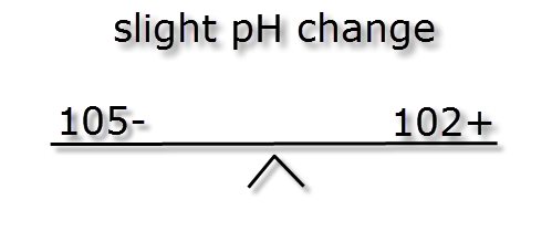 What Is the pH Scale? — Definition & Overview - Expii